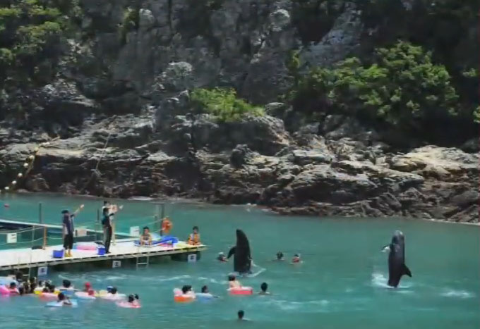 �C���[�W02